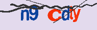 Captcha認証コード