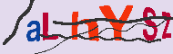 Captcha認証コード