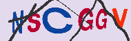 Captcha認証コード