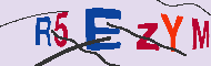 Captcha認証コード